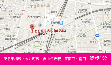 グーグルマップ